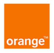 Orange Business Services